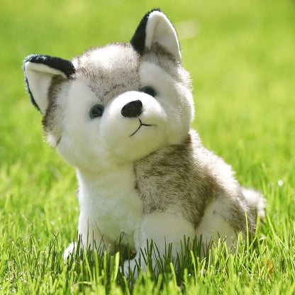 Husky de Peluche_20 cm