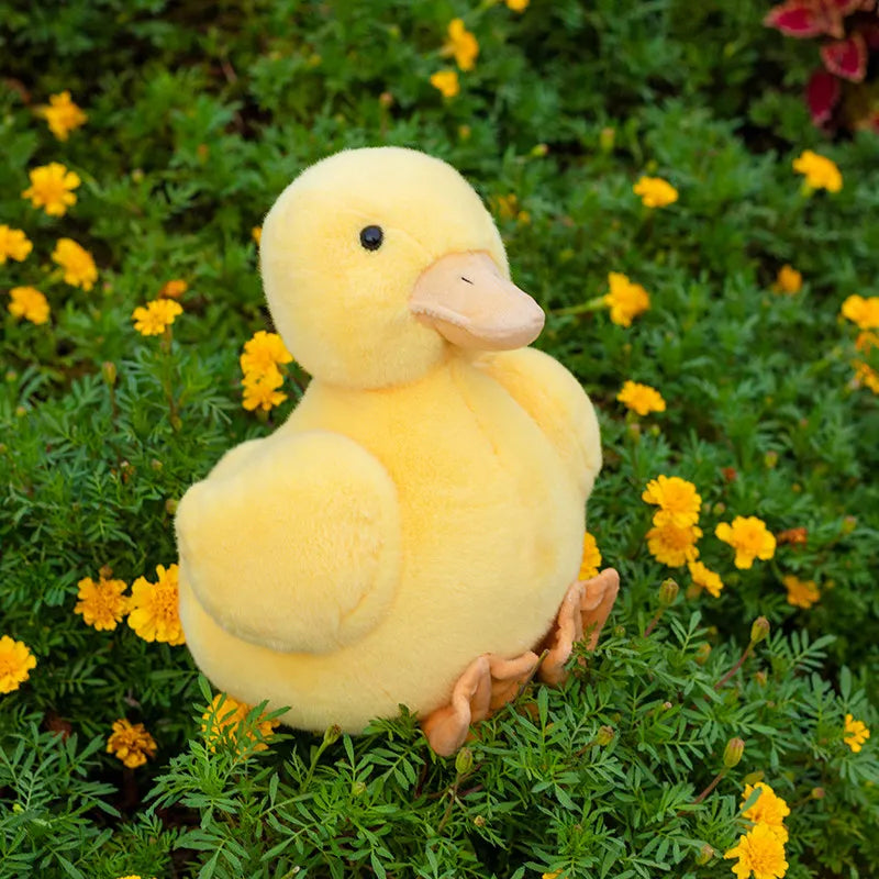 Pato Pequeño de Peluche_18 cm