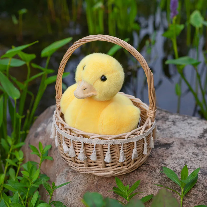 Pato Pequeño de Peluche_18 cm_2