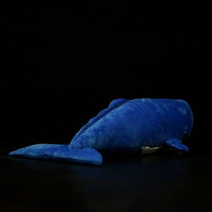 Ballena Grande de Peluche_54 cm_5